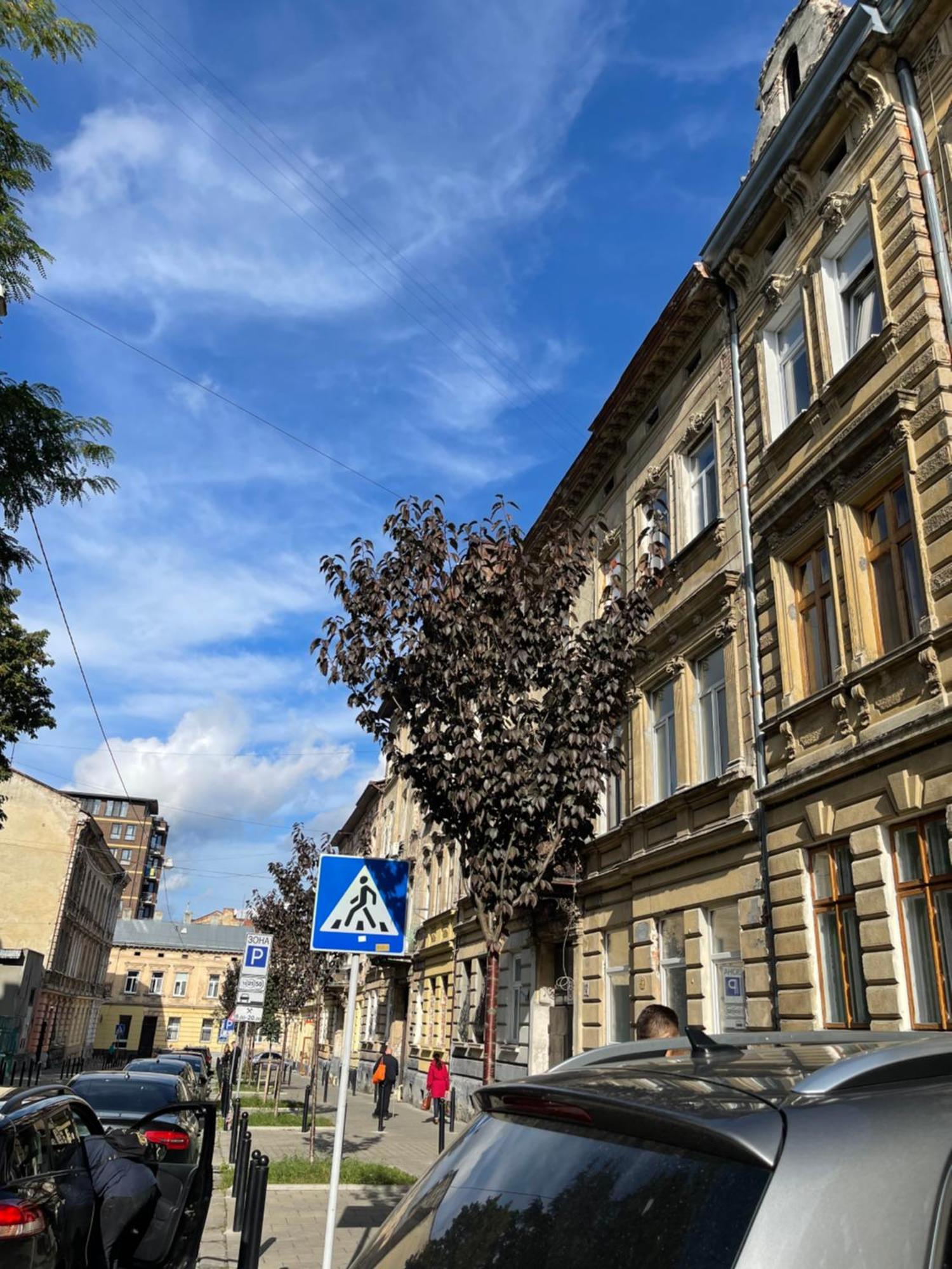 Vintage Apartment Kotlyarska10 Лвив Екстериор снимка